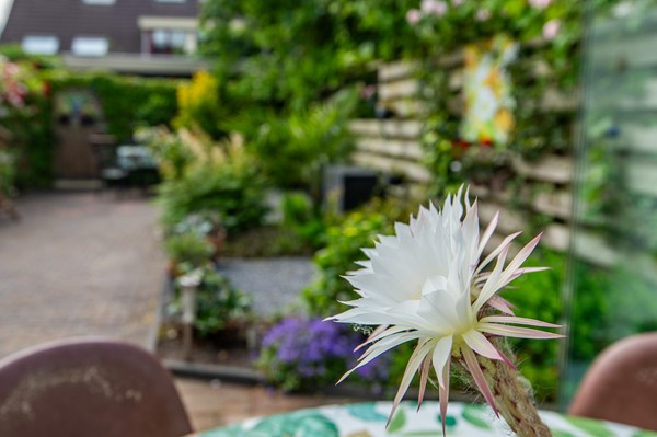 Medium property photo - Lizzy Ansinghstraat 20, 2135 TM Hoofddorp